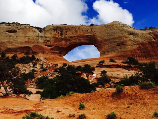 Wilson's Arch